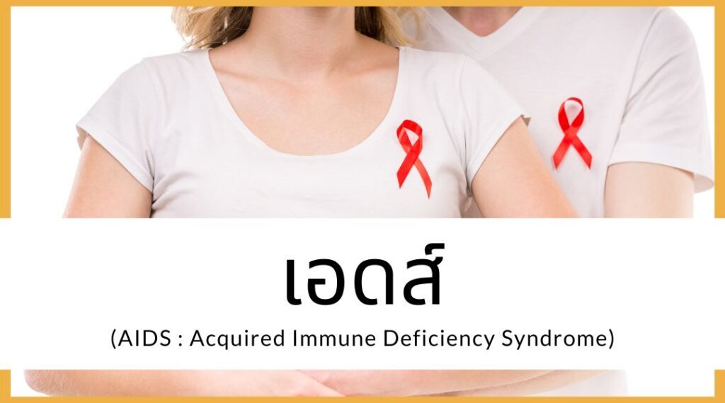 เอดส์ (AIDS Acquired Immune Deficiency Syndrome)
